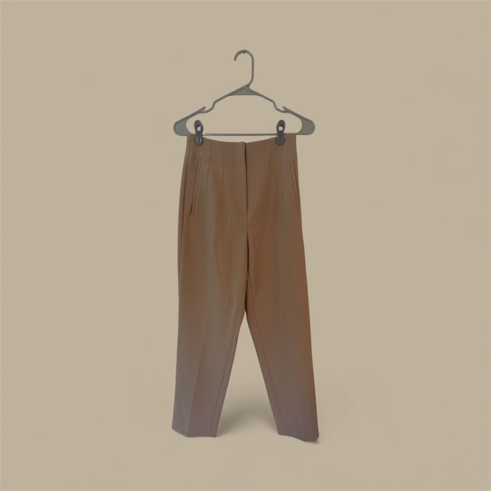 Zara Women's Tan Pants